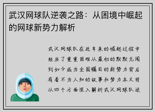 武汉网球队逆袭之路：从困境中崛起的网球新势力解析